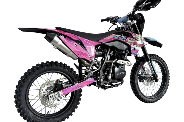 bse_z1_harley_3
