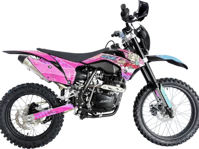 bse_z1_harley_1