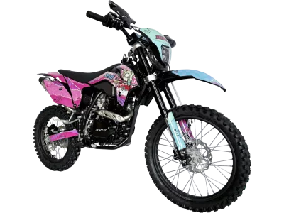 bse_z1_harley_2