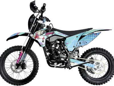 bse_z1_harley_4